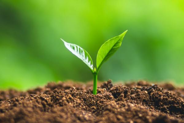 Biodiversità